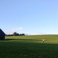 German Farms!
