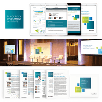 visual identity system