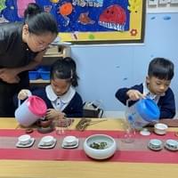 香港古樹茶文化學會 中小學、幼兒茶藝課程