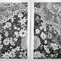Diptych of Lake Daylesford