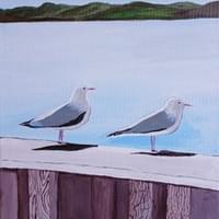 2 Seagulls by Miria Clements