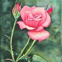 Unfolding Grace by L Kedzlie