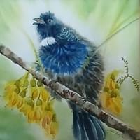 Tui Song by Linda Kedzlie