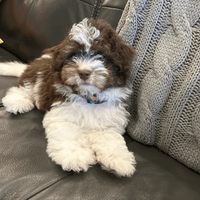 Hi Teddy!