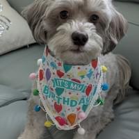 Happy Birthday Shadow!