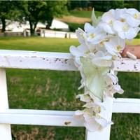 Ramo Alambrado con Estructura