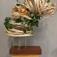 Tornado de Orquídeas