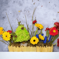 La Plaza de mi Infancia