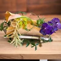 La Corteza Protectora