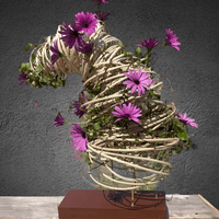 Tornado de Primavera