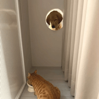 O2梁宅-舊屋翻新