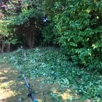 Gartenarbeiten