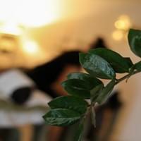 Studio de massage Labenne