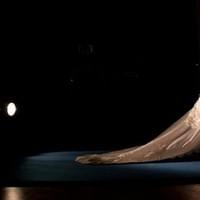 Creative Development 