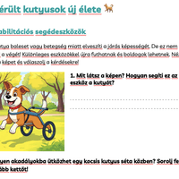 Sérült kutyusok feladatlap