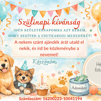 Szülinapi kívánság