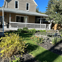 How EMDR can help trauma symptoms 