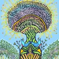 Seeds for Life,  Seeds for Hea