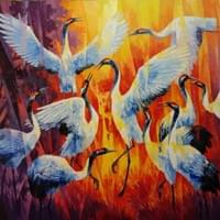 舞鶴系列___求偶舞80F