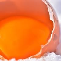 小樽地鶏本舗　卵