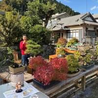 恋愛成就の木