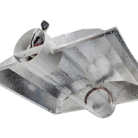 Lamp-Based Grow Light