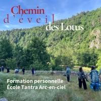 Cycle annuel de 5 modules