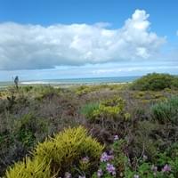 our landscape