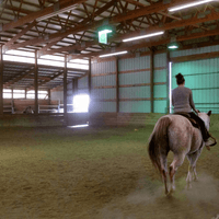 Cover For The Horse Arena