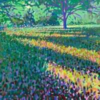 'Sunlight & Shadows'