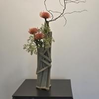 Joyce Peterson