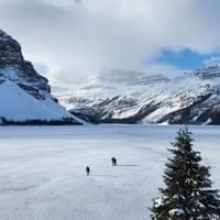 弓湖（Bow Lake）