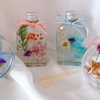 Dried Flowers Herbariums