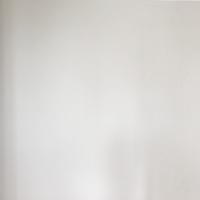 Peinture d'un mur - peinture dispersion blanche - Nasona Glass