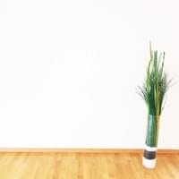 Peinture d'un mur - peinture dispersion blanche - Nasona Glass