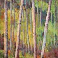 Birch Forest 1 
