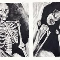 Studies of Sally