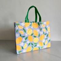 Non-Woven Shopping Bag