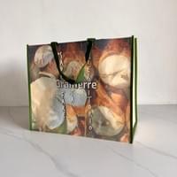 Non-Woven Shopping Bag