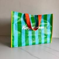 Non-Woven Shopping Bag