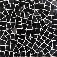 CP 30 - Nera fondo bianco