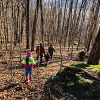 trekking in the back yard