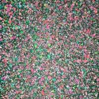 Blooming in August, 2025