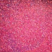 Cosmopolitain, 2024 SOLD