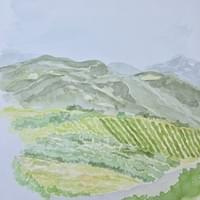 Married with wine, 2024 SOLD