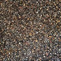SEED DUST, 2026