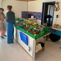 Banc d'huitres à notre cabane