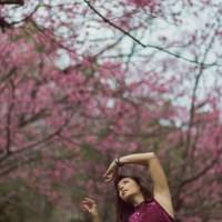 Photo by Anthony Lewis