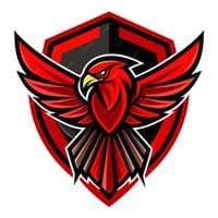 Red Falcons