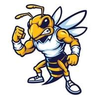 Yellow Hornets